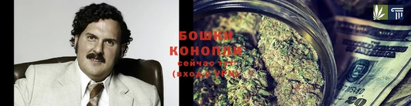 стафф Майский
