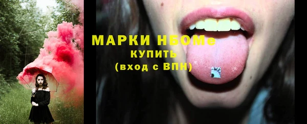 индика Магас