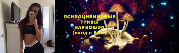 прущие крисы Медвежьегорск