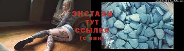 индика Магас