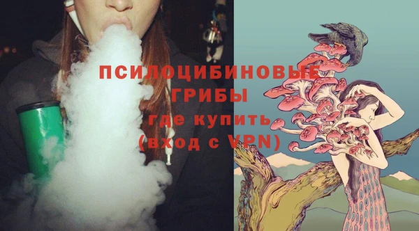 индика Магас