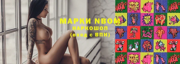 индика Магас