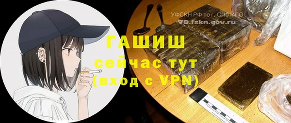 индика Магас