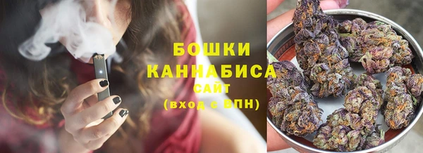 стафф Майский