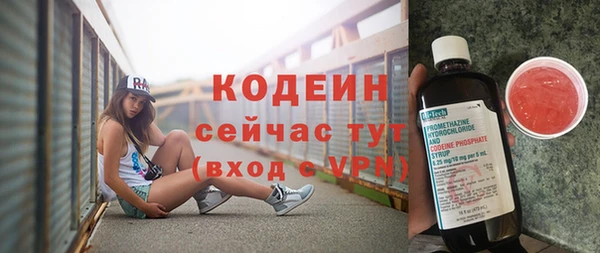индика Магас
