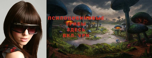 прущие крисы Медвежьегорск