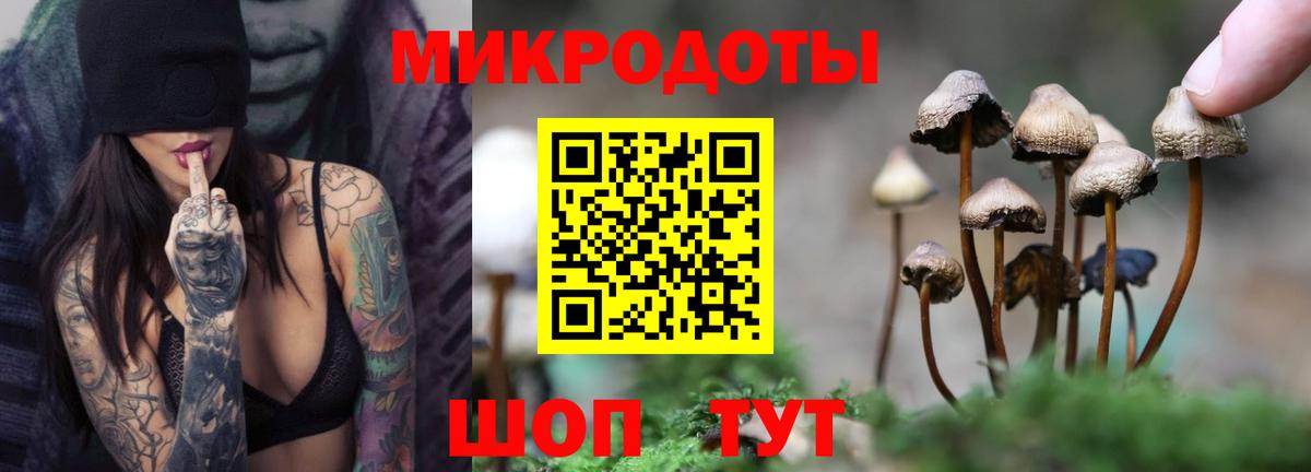 Псилоцибиновые грибы прущие грибы  цены   Якутск  Вход с VPN 